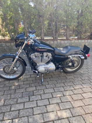 Harley davidson 833 XL Custom